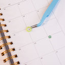 Stationery Tweezer